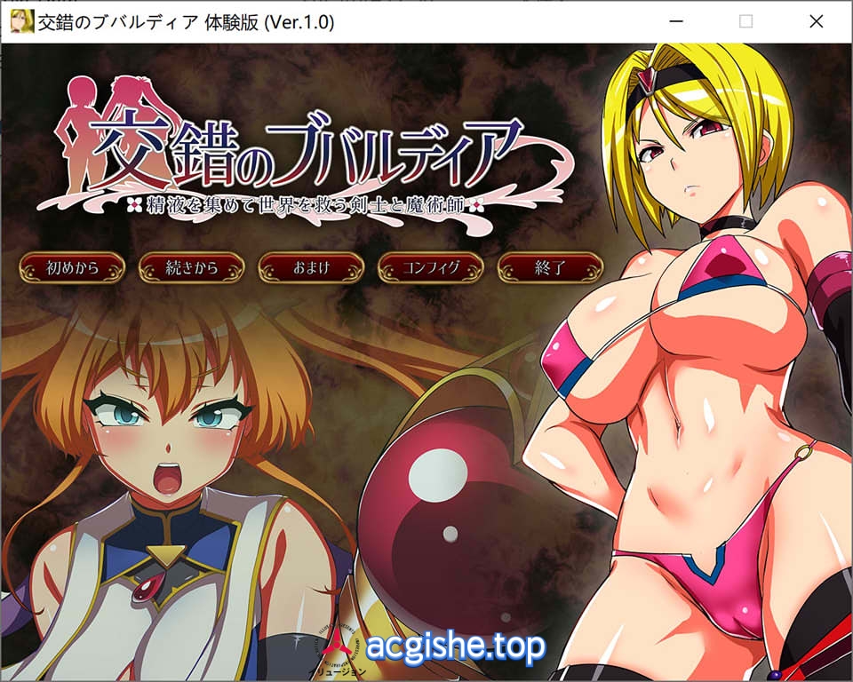 [日系精品RPG/汉化/动态] 交错的布瓦尔迪亚~收集金液拯救世界的剑士与魔术师 AI汉化版[8月新作/1.4G]